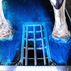 Гигиена копыт - VORTEX-URAL