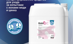 Blanka HC – концентрированное средство для ухода за копытами с ионами меди и цинка. - VORTEX-URAL