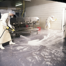 Пищевое производство